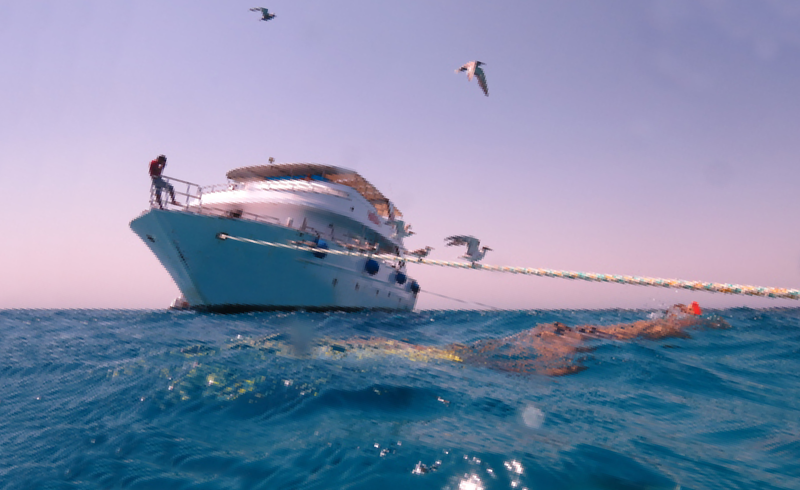 Das Schiff Habiba