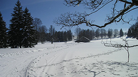 Winterwandern und Märchen